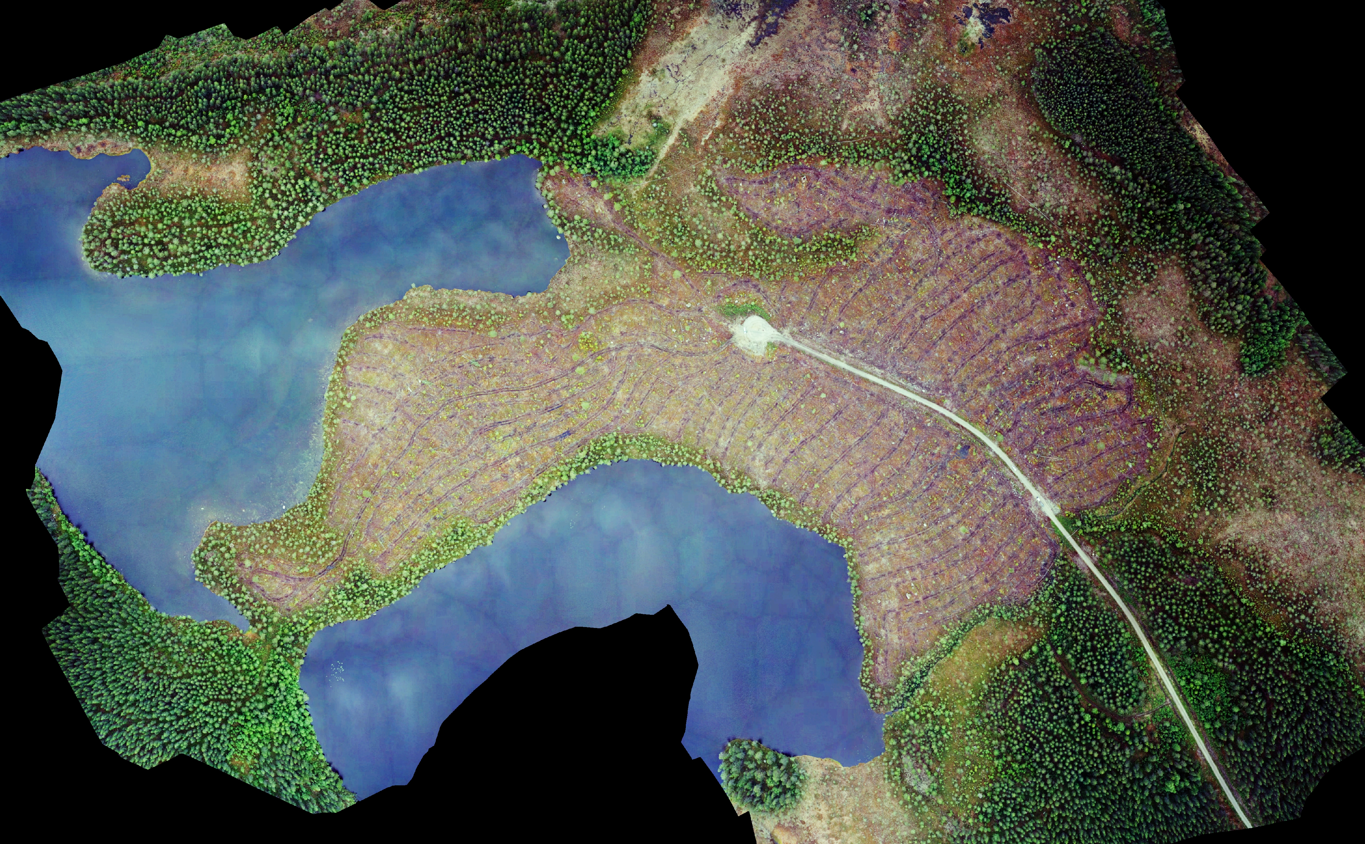 Pre-fire orthophoto original wirh 7 cm resolution made from Smartplanes mapping system
