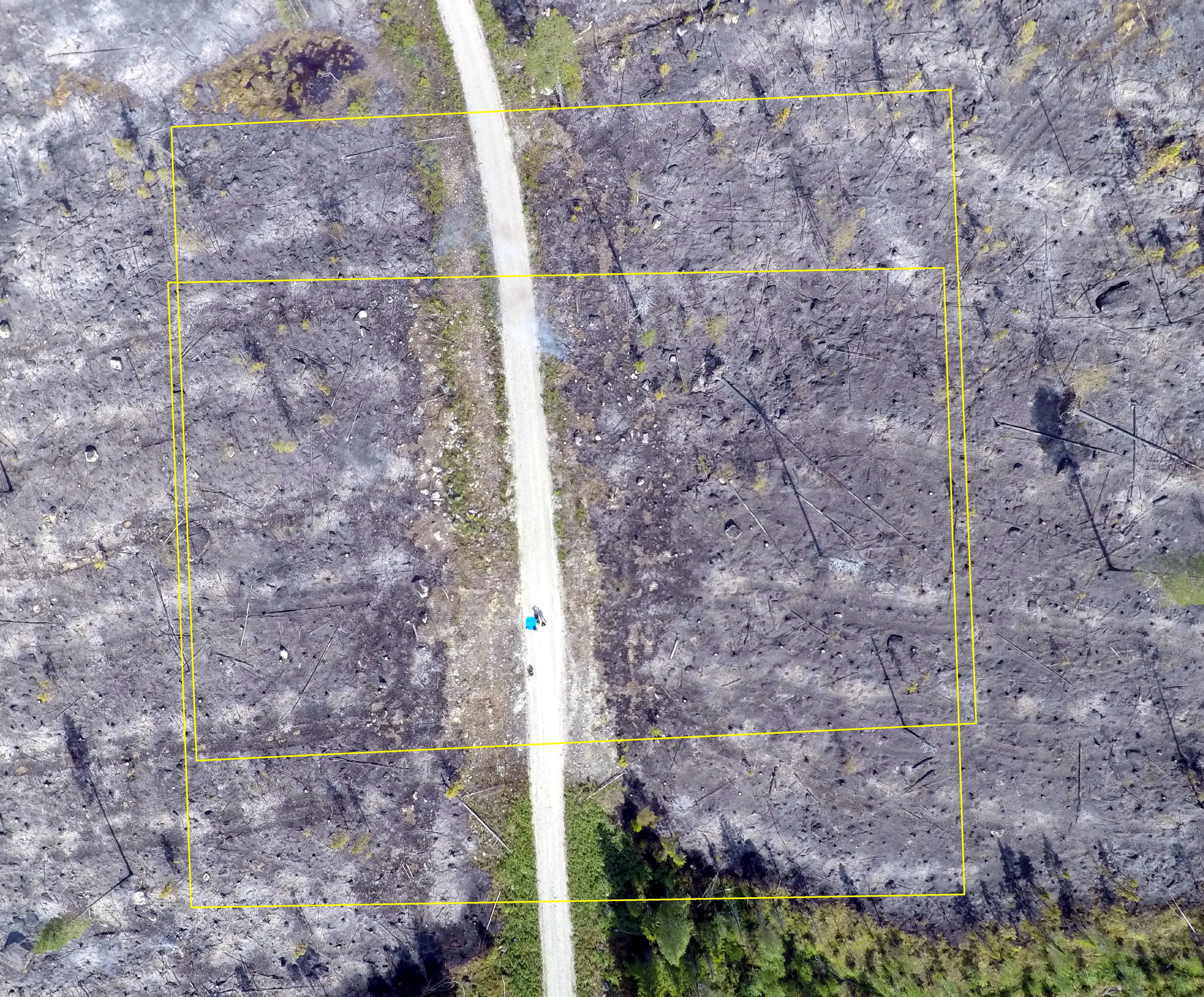An image taken with a GoPro camera from 80 meters altitude. The yellow border shows the extent of two thermal images.