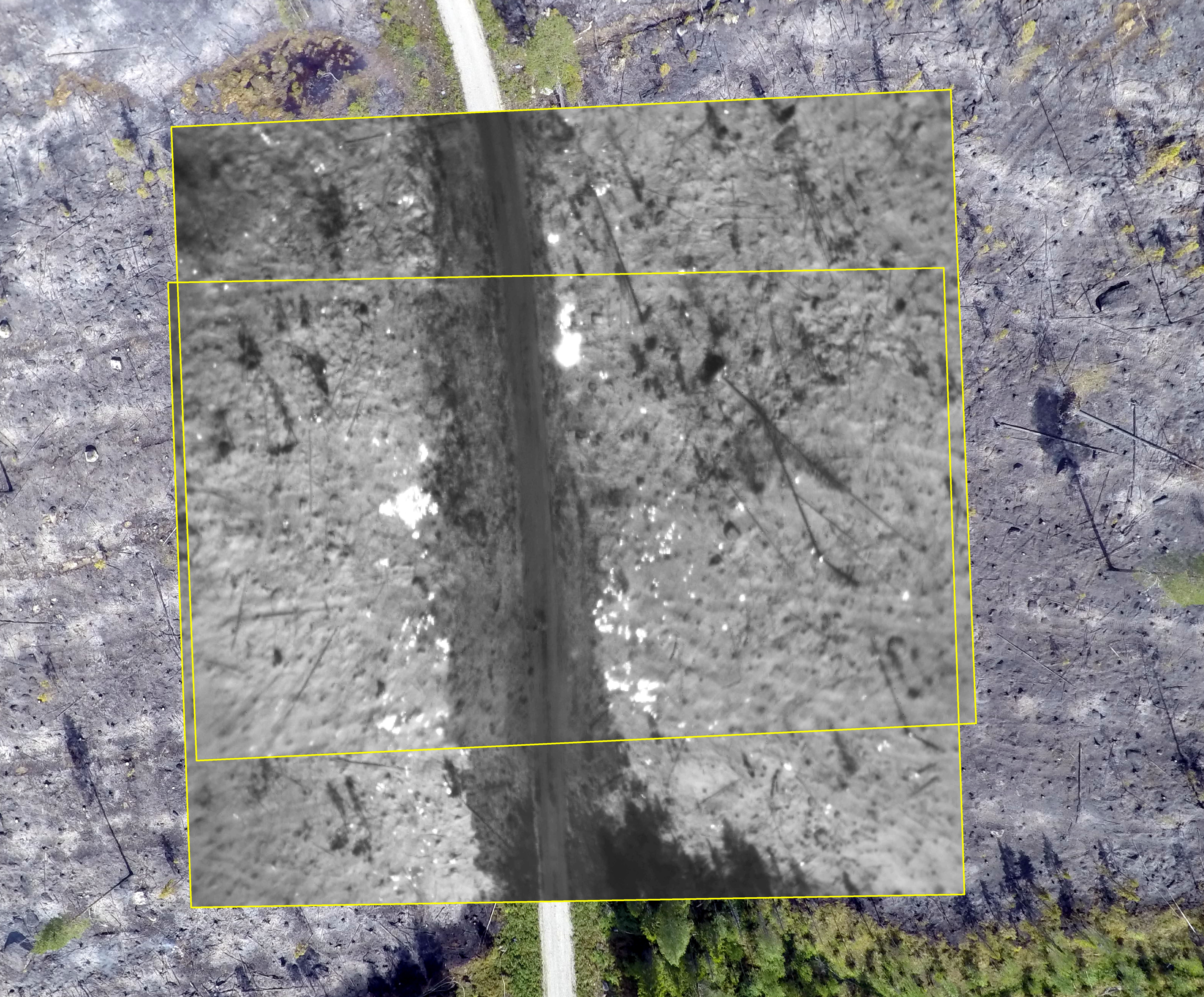 Same as georef2_rgb.jpg, but two thermal image overlaid. White color is warm and black is cold. Note the hot spots on both side on the road only seen in the thermal images.