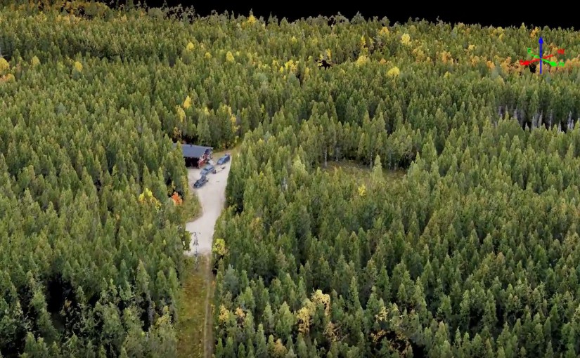 3D fly through of Flakaliden forest