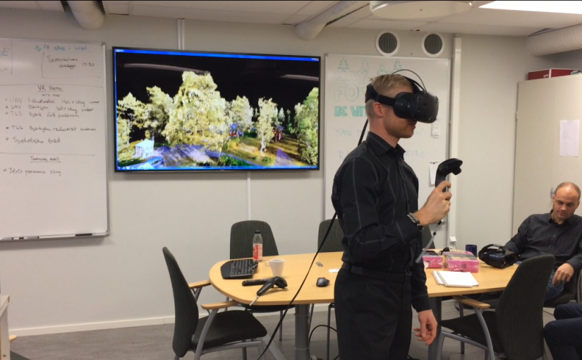 Forest in virtual reality